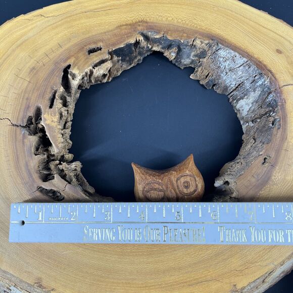 Burlwood Cut Live Edge Wood Slab Slice Owl Decor Unique OFAK Artwork - Picture 14 of 16